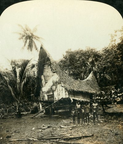 Yerli Bir Kulübe, Sariba, Britanya Yeni Gine, c1909. by George Rose