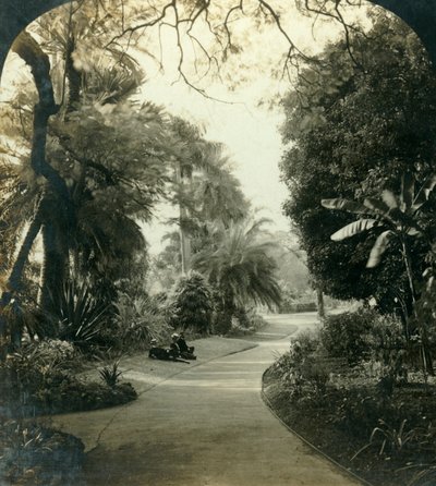 Queens Park'taki Yol, Brisbane, Avustralya, c1909. by George Rose