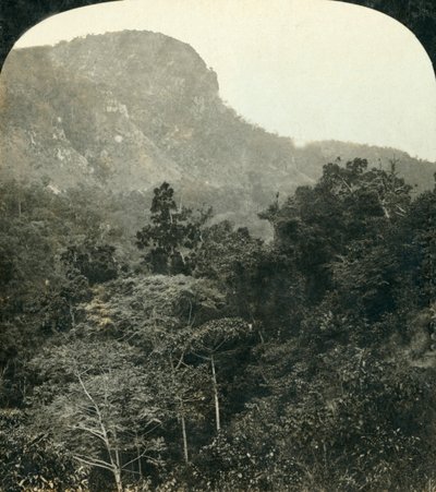 Barron River Gorge