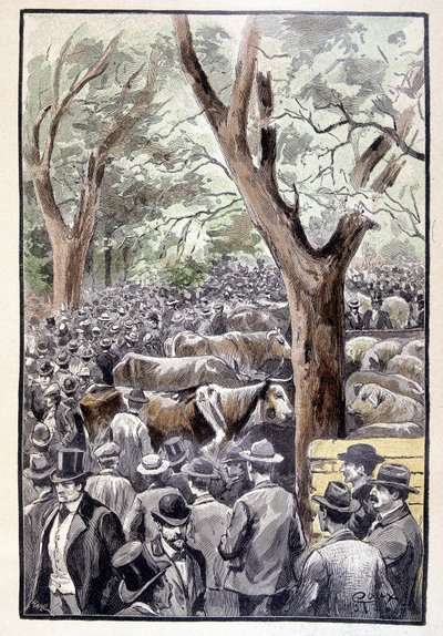 Kalabalık, Jules Verne