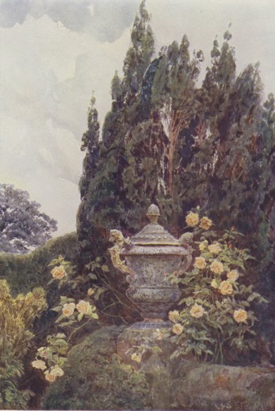 Dijon