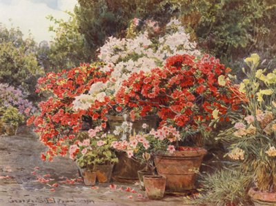  by George Samuel Elgood
