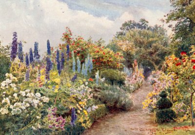 Larkspurs (renkli lito) by George Samuel Elgood