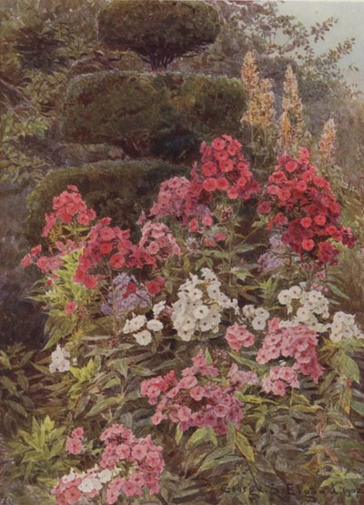 Floksa by George Samuel Elgood