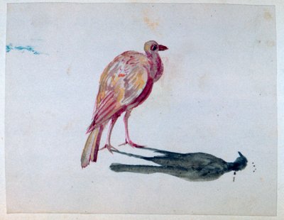 Kuş, 1820-1876 by George Sand