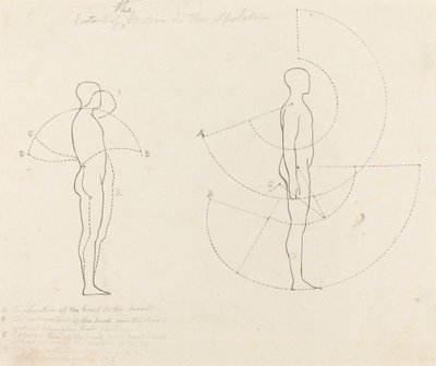 İki Şekilde Gösterilen Hareket Kapsamı by George Scharf after John Flaxman