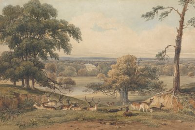 Ampthill Park'ın Uzaktan Görünümü by George Shepherd