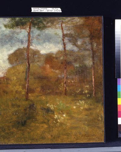Orange Road, Tarpon Springs (tuval üzerine yağlıboya) by George Snr. Inness