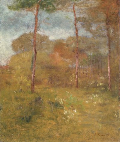 Orange Road, Tarpon Springs, 1893 dolayları (tuval üzerine yağlı boya) by George Snr. Inness
