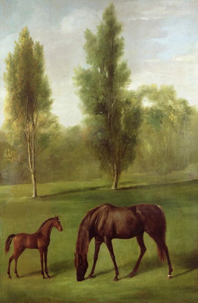 Ormanlık Bir Peyzajda Kestane Kısrak ve Tay, c.1761-63 (tuval üzerine yağlı boya) by George Stubbs