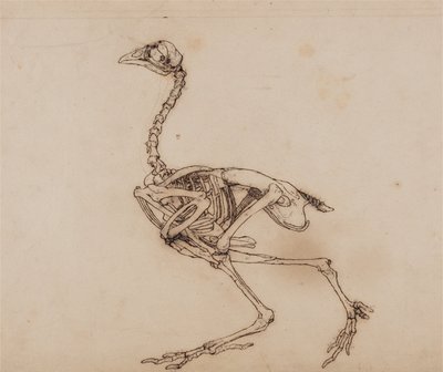  by George Stubbs
