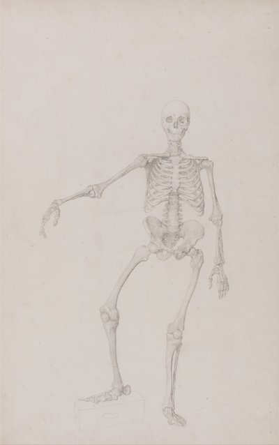  by George Stubbs