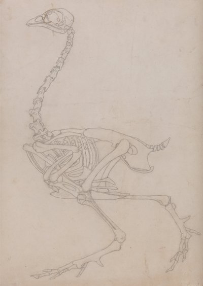  by George Stubbs