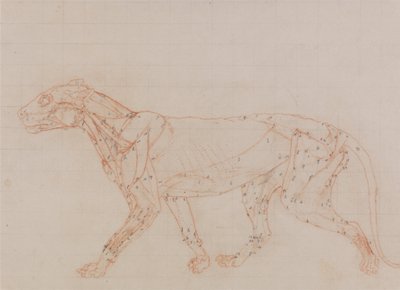  by George Stubbs