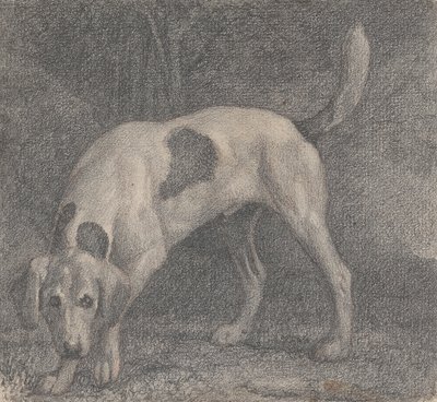 Kokuda Bir Tilki Tazısı by George Stubbs