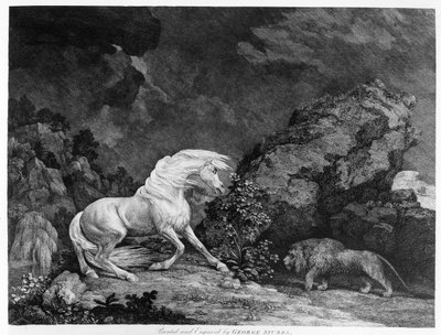 Aslan tarafından korkutulan bir at, ressam tarafından oyulmuş, 1777 by George Stubbs
