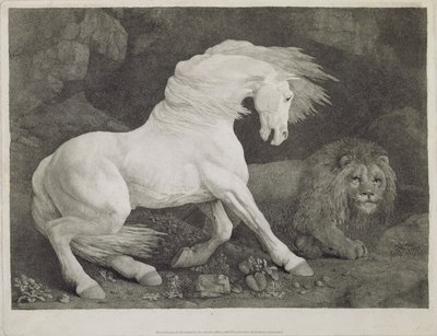 Aslan tarafından korkulan bir at, sanatçı tarafından oyulmuş, pub. 1788 by George Stubbs
