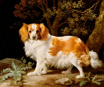 Ormanlık Bir Peyzajda Bir Karaciğer ve Beyaz Kral Charles Spaniel by George Stubbs