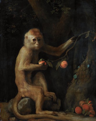 Bir Maymun by George Stubbs