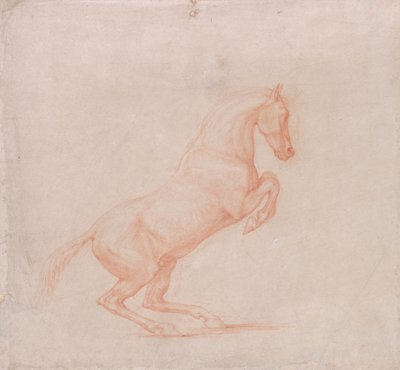 Şahlanan At, Sağa Bakıyor by George Stubbs