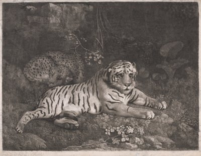 Bir Kaplan ve Uyuyan Bir Leopar by George Stubbs