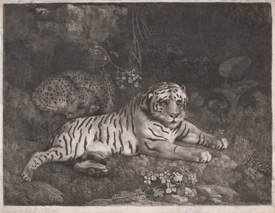 Bir Kaplan ve Uyuyan Bir Leopar by George Stubbs