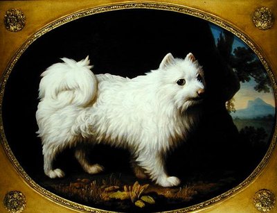 A White Spitz, c.1770 (emaye porselen üzerine yağlı boya) by George Stubbs