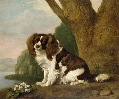 Fanny, kahverengi ve beyaz bir İspanyol by George Stubbs