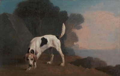 Tilki Tazısı by George Stubbs