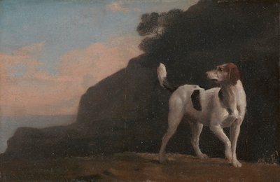 Tilki Tazısı by George Stubbs