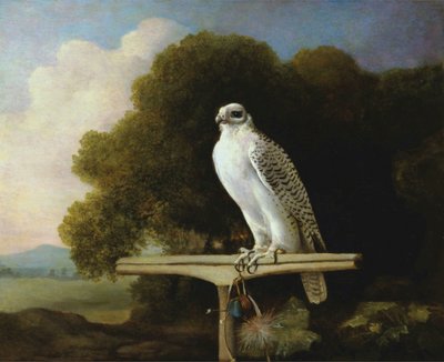 Grönland Şahini by George Stubbs