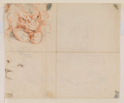 Aslan başı ve pençeleri, verso, 18. veya 19. yüzyıl by George Stubbs