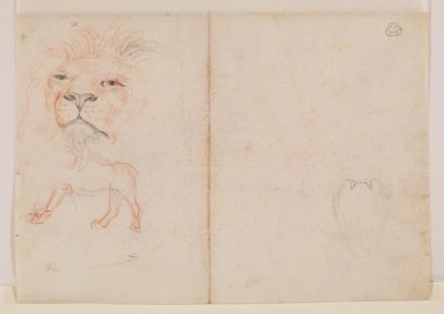 Aslan başı, verso, 18. veya 19. yüzyıl by George Stubbs