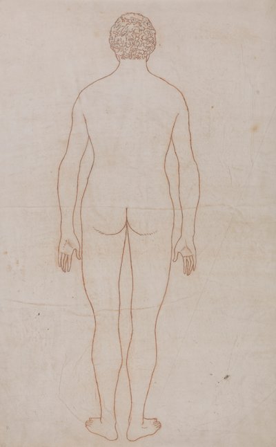 İnsan Vücudu, Arkadan Görünüm (Tablo VII için Taslak Çizim) by George Stubbs