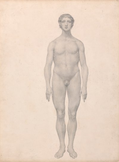 İnsan Figürü, Önden Görünüm, Kesilmemiş (Tablo VI için Çalışmayı Bitirmiş) by George Stubbs