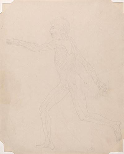 İnsan Figürü, Yandan Görünüm by George Stubbs