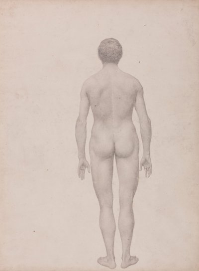 İnsan Figürü, Arkadan Görünüm, Kesilmemiş (Tablo VII için Çalışma Bitmiş) by George Stubbs