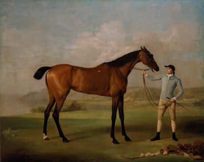 Molly Long-legs Jokeyi ile birlikte by George Stubbs