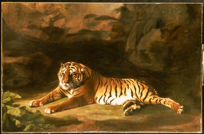 Kraliyet Kaplanının Portresi, c.1770 by George Stubbs