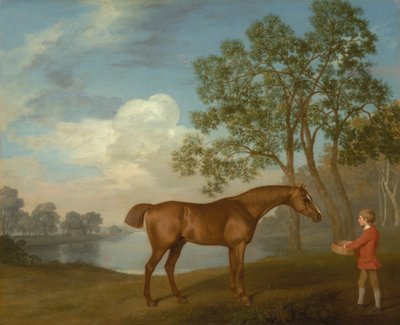 Stable-lad ile Balkabağı by George Stubbs