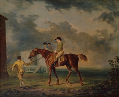 Sir Salomon, J.Singleton ile Bay Yarış Atı, Newmarket (tuval üzerine yağlı boya) by George Stubbs