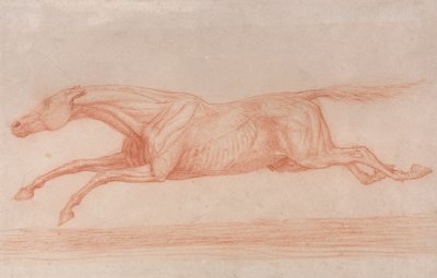 Hareket Halindeki Bir Yarış Atı Çalışması: Sola Dörtnala Koşmak, Kasların Hareketini Göstermek İçin Derisi Yüzülmüş Yarı Anatomik Bir Çalışma by George Stubbs