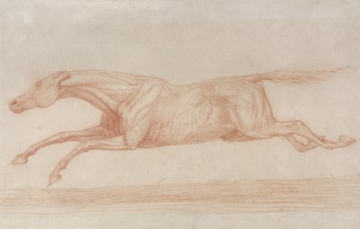 Eylemde Bir Yarış Atının Çalışması: sola dörtnala (devetüyü kağıt üzerinde kırmızı tebeşir) by George Stubbs