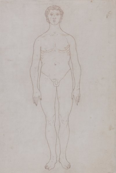 İnsan Figürü Çalışması, Önden Görünüm (Tablo VI için Anahat Çizimi) by George Stubbs