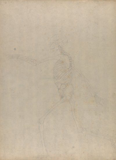 İnsan Vücudunun Yapısının Bir Kaplan ve Sıradan Bir Tavuğun Yapısıyla Karşılaştırmalı Anatomik Bir Açıklamasından İnsan Figürü Çalışması, Yandan Görünüm, 1795-1806 (ağır dokuma kağıt üzerinde grafit) by George Stubbs