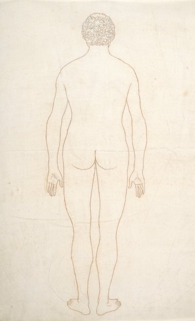 İnsan Vücudunun Yapısının Bir Kaplan ve Sıradan Bir Tavuğun Yapısıyla Karşılaştırmalı Anatomik Bir Açıklamasından İnsan Figürü Çalışması, Arkadan Görünüm, c.1795-1806 (kağıt üzerine mürekkep) by George Stubbs