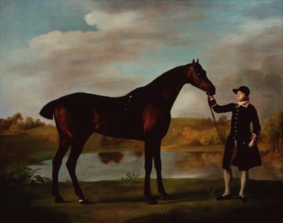 Bir Damat ile Malborough Körfezi Avcısı Dükü (tuval üzerine yağlı boya) by George Stubbs