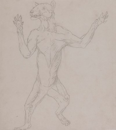 Kaplan Gövdesi, İnsan Duruşunda Duruyor by George Stubbs