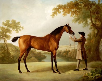 Tristram Shandy, Geniş Bir Manzarada Bir Damat Tarafından Tutulan Körfez Yarış Atı, c.1760 by George Stubbs