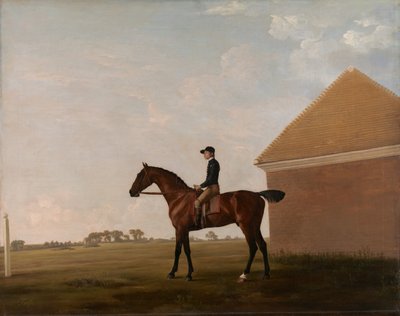 Çim, Jokey yukarıda, Newmarket
